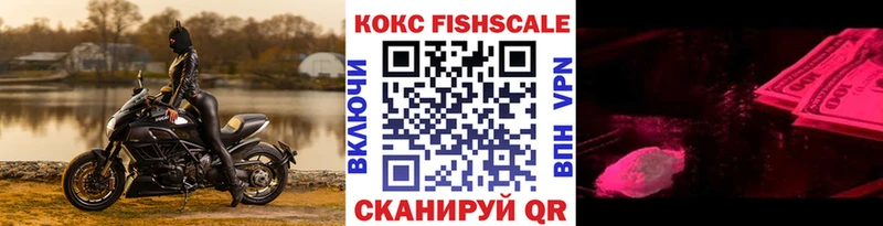 как найти   Приморск  COCAIN FishScale 